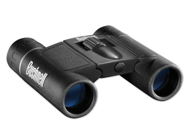 博士能望远镜 POWERVIEW 132514 8X21